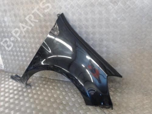 Left front fenders RENAULT CLIO III (BR0/1, CR0/1) 1.5 dCi (BR17, CR17) | BP26929487C41 