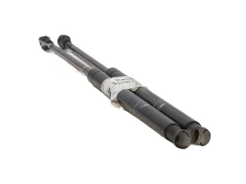 Tailgate lift support ABARTH 500 / 595 / 695 1.4 (312.AXY11, 312.AXY1A) | BP29480715C138 