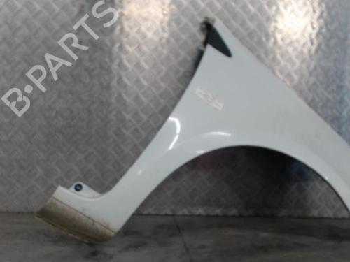 Right front fenders RENAULT CLIO III (BR0/1, CR0/1) 1.5 dCi (C/BR0G, C/BR1G) | BP29477065C42 