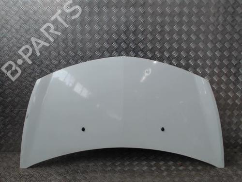 Used Hood RENAULT CLIO III (BR0/1, CR0/1) 1.5 dCi (88 hp) 23049096