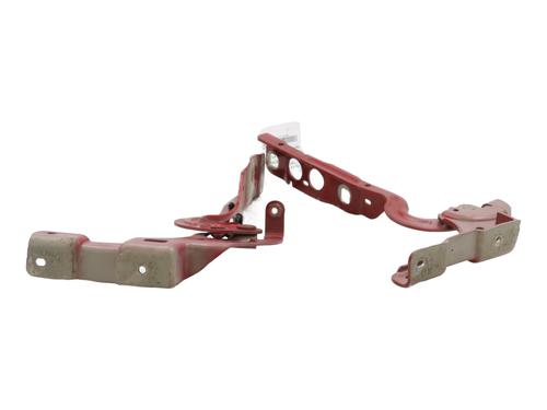 Used Hinge/Door check strap CITROËN C4 II (NC_) 1.6 VTi 120 (NC5FS0, NC5FS9) (120 hp) 31343291