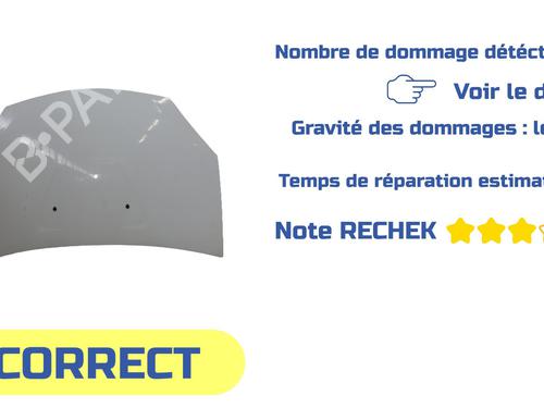 Hood DACIA SANDERO 1.5 dCi | BP29563349C1 