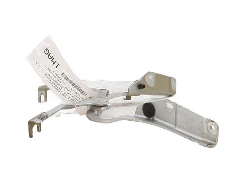 Hinge/Door check strap CITROËN C3 Picasso (SH_) 1.6 HDi | BP29402334C146 