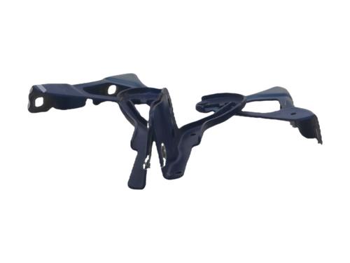 Used Hinge/Door check strap Hinge/Door check strap RENAULT CLIO V (B7_) 1.0 TCe 100 (B7MT) (101 hp) 40602887 40602887