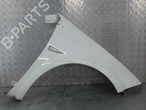 Used Right front fenders RENAULT MEGANE II (BM0/1_, CM0/1_) 1.5 dCi (BM02, BM13, BM2A, CM02, CM13) (101 hp) 29253651