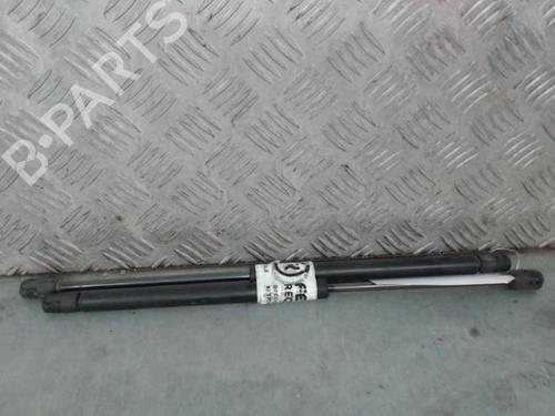 Used Tailgate lift support Tailgate lift support RENAULT CLIO II (BB_, CB_) 1.5 dCi (B/CB07) (65 hp) 27219907 27219907