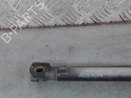 Tailgate lift support RENAULT SCÉNIC II (JM0/1_) 1.9 dCi (JM0G, JM12, JM1G, JM2C) | BP28625514C138 