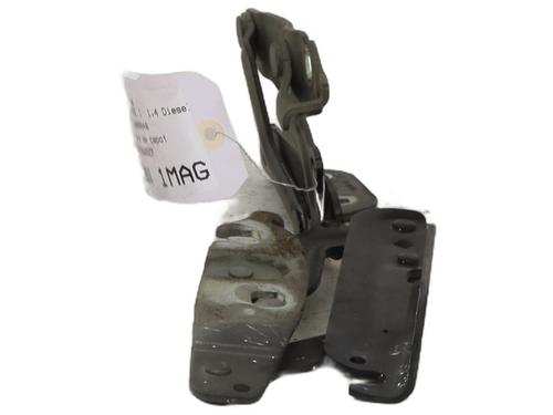 Hinge/Door check strap FORD FIESTA VI (CB1, CCN) 1.4 TDCi | BP24144584C146 