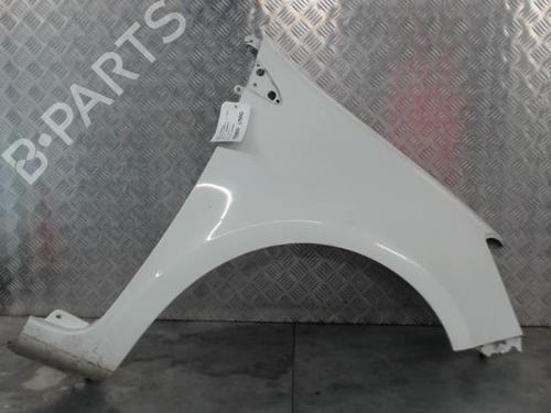 Used Left front fenders RENAULT CLIO III (BR0/1, CR0/1) 1.2 16V Hi-Flex (BR1U, CR1U) (75 hp) 25716543