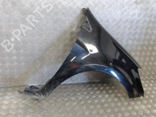 Left front fenders RENAULT CLIO III (BR0/1, CR0/1) 1.5 dCi (BR17, CR17) | BP26929487C41 