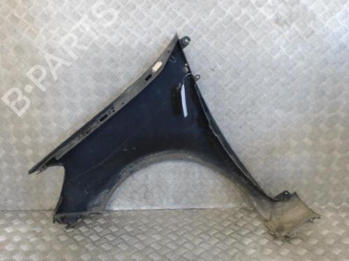 Left front fenders RENAULT CLIO III (BR0/1, CR0/1) 1.5 dCi (BR17, CR17) | BP26929487C41 