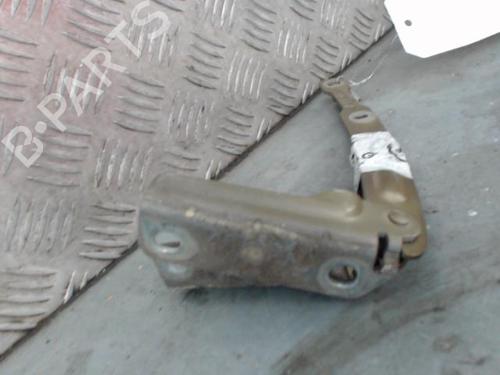 hingedoor-check-strap-dacia-duster-hs_-2010-2011-2012-2013-2014-2015-2016-2017-2018-29112849 main image