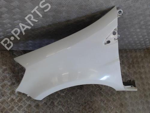 Left front fenders RENAULT CLIO III (BR0/1, CR0/1) 1.5 dCi (C/BR0G, C/BR1G) | BP26946442C41 