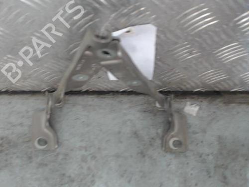 hingedoor-check-strap-citroen-c3-ii-sc_-2009-29112838 main image