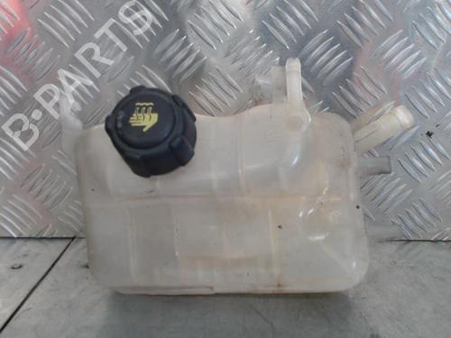 Used Expansion tank RENAULT MEGANE III Hatchback (BZ0/1_, B3_) 1.9 dCi (BZ0N, BZ0J) (131 hp) 23837778