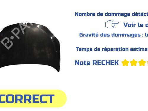 Hood RENAULT MEGANE III Coupe (DZ0/1_) 1.9 dCi (DZ0N, DZ0J, DZ1J, DZ1K) | BP31268077C1 