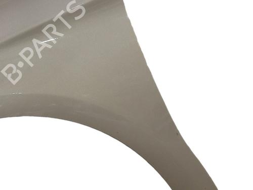 left-front-fenders-citroen-c4-ii-nc_-2009-34455213 main image