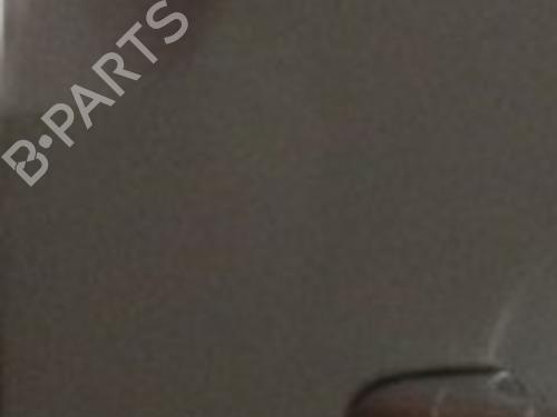 Left slide door VW CADDY III MPV (2KB, 2KJ, 2CB, 2CJ) 2.0 TDI 16V | BP31090876C74 