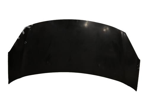 hood-citroen-c3-ii-sc_-2009-30152799 main image