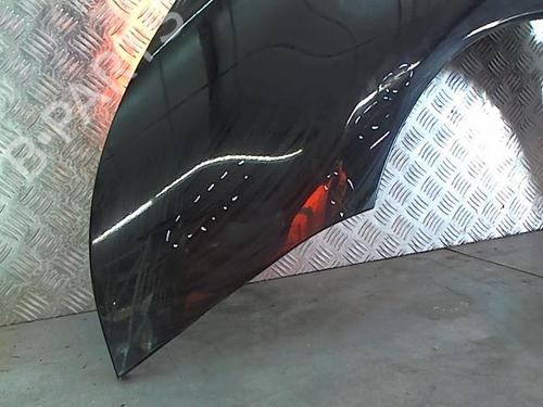 Left front fenders CITROËN C4 Picasso I MPV (UD_) 1.6 HDi | BP24112517C41 