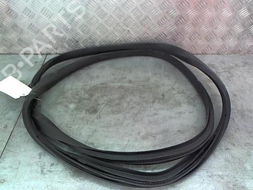 Rubber door seal RENAULT RAFALE Coupe (DHN)  | BP28330034C142 