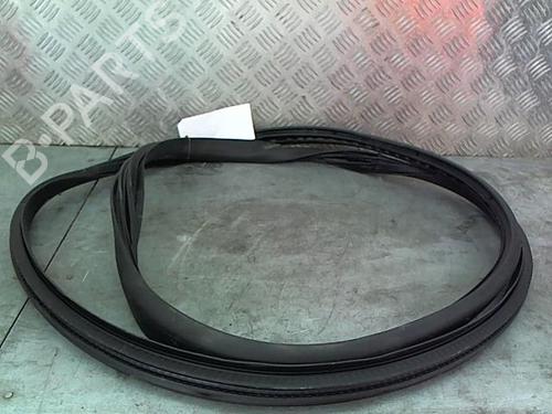 rubber-door-seal-renault-rafale-coupe-dgm_-2023-28330033 main image