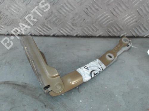 Hinge/Door check strap DACIA DUSTER (HS_) 1.2 TCe 125 | BP29112849C146 - Image 2