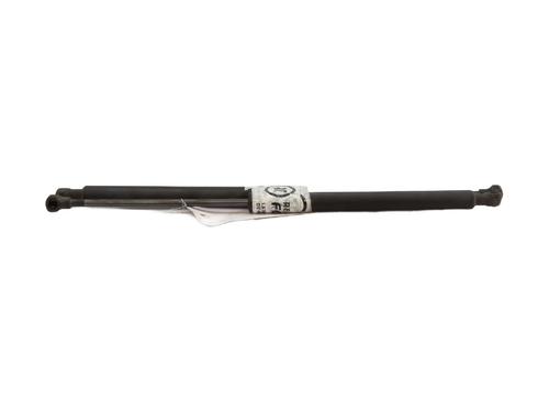 Gassdemper Bakluke PEUGEOT 307 (3A/C) 1.6 HDi | BP29028108C138 