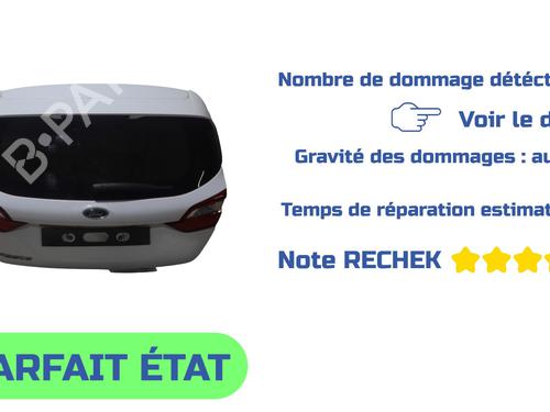Used Tailgate Tailgate FORD FIESTA VII (HJ, HF) 1.0 EcoBoost (101 hp) 40058796 40058796