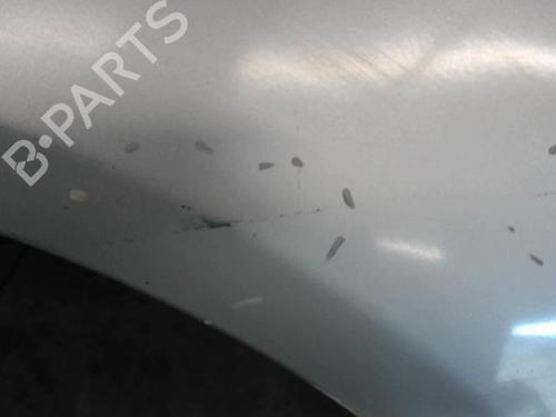 Left front fenders OPEL CORSA D (S07) 1.3 CDTI (L08, L68) | BP25006049C41 