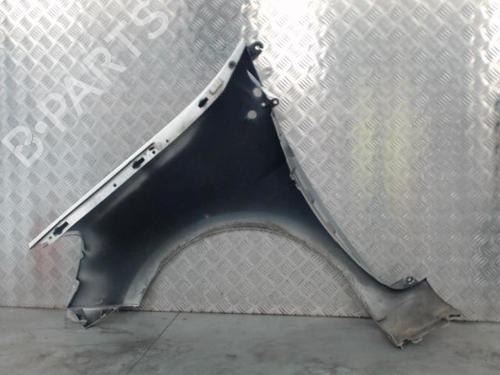 Right front fenders RENAULT CLIO III (BR0/1, CR0/1) 1.2 16V Hi-Flex (BR1U, CR1U) | BP28423391C42