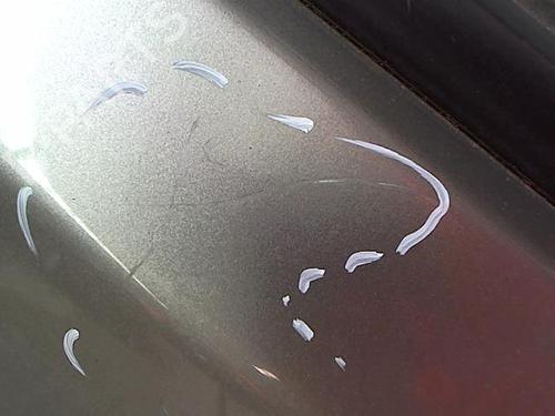 Left rear door NISSAN X-TRAIL I (T30) 2.2 Di 4x4 | BP23838925C4 