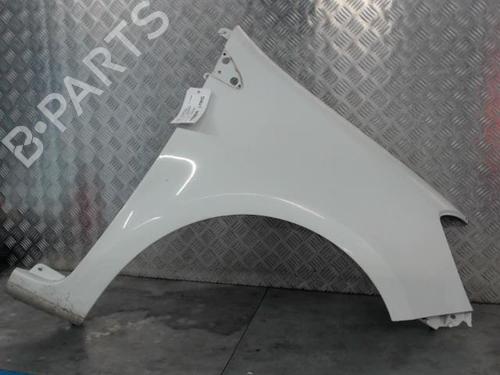 Left front fenders RENAULT CLIO III (BR0/1, CR0/1) 1.2 16V Hi-Flex (BR1U, CR1U) | BP25716543C41 