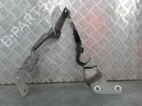 Hinge/Door check strap RENAULT CLIO III (BR0/1, CR0/1) 1.5 dCi (BR17, CR17) | BP27699170C146 