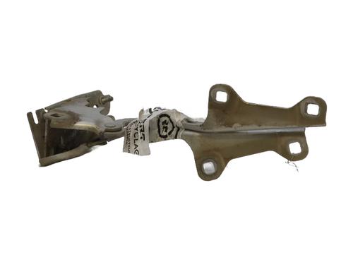 Hinge/Door check strap RENAULT LAGUNA III (BT0/1) 2.0 dCi (BT01, BT08, BT09, BT0E, BT0K, BT12, BT1C, BT1D,... | BP29142008C146 