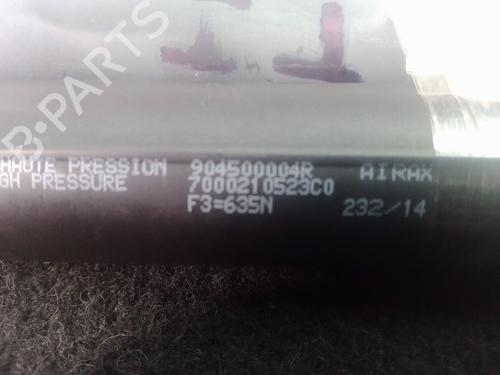 Tailgate lift support RENAULT SCÉNIC III (JZ0/1_) 1.6 dCi (JZ00, JZ12) | BP22381549C138 