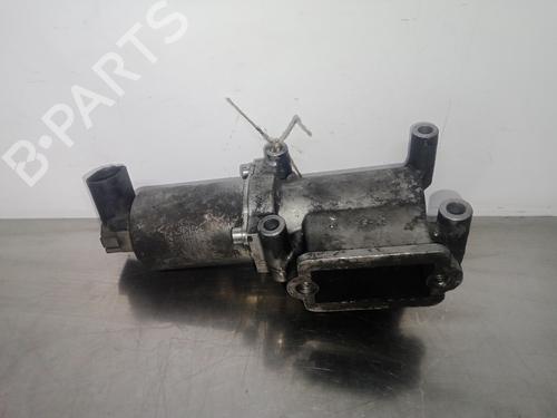 Used Egr FIAT DOBLO MPV (119_, 223_) 1.9 D (223AXB1A) (63 hp) 5743619
