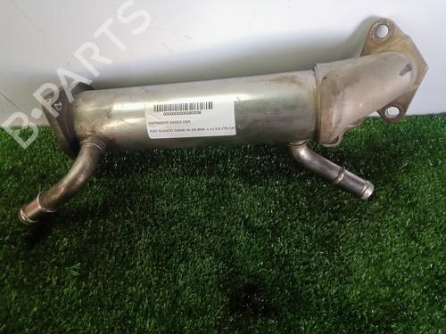 Used Egr FIAT DUCATO Bus (250_) [2006-2025]  26681867