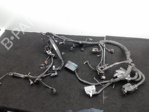 BP28418988O1 main image