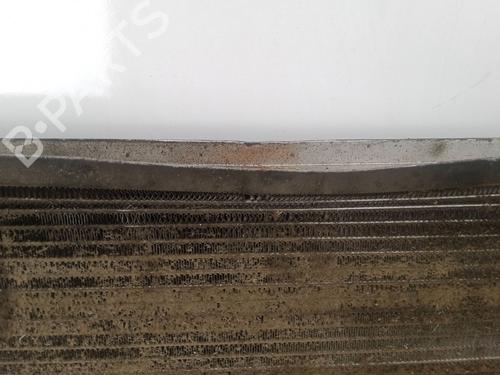 Wasserkühler RENAULT MASTER II Van (FD)  | BP29953842M31 