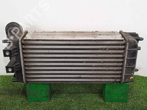 Intercooler PEUGEOT PARTNER Tepee  | BP11275014M30 