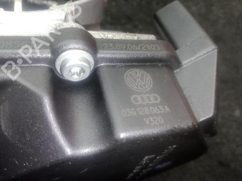 Throttle body VW CADDY III Box Body/MPV (2KA, 2KH, 2CA, 2CH) 1.9 TDI | BP30087911M82