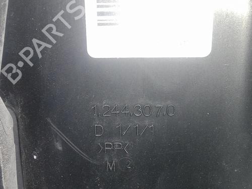Right mirror RENAULT CLIO III (BR0/1, CR0/1)  | BP29077244C27 