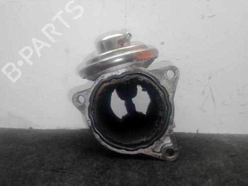 Egr SEAT LEON (1P1) 1.9 TDI | BP29146189M69 