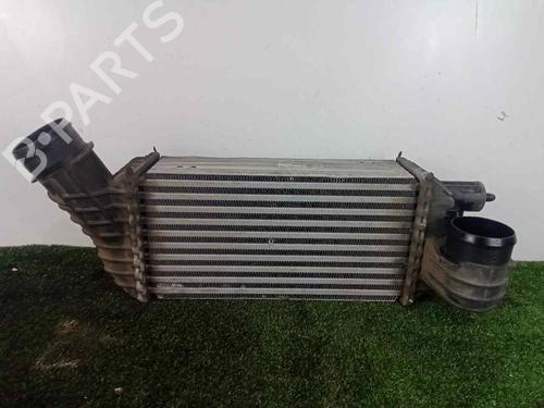 Used Intercooler CITROËN C4 Grand Picasso I (UA_) 2.0 HDi 138 (136 hp) 29926373