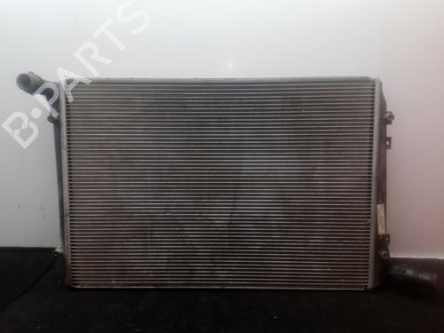 Køler VW CADDY III Box Body/MPV (2KA, 2KH, 2CA, 2CH) 1.9 TDI (105 hp) 30097841