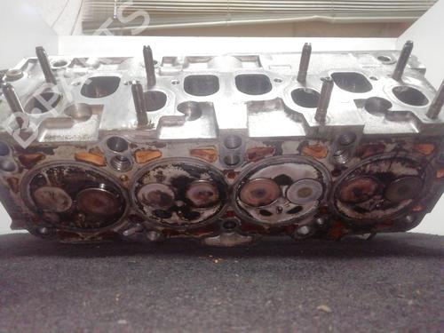 Cylinder head SEAT IBIZA III (6L1) 1.9 TDI | BP30126541M5 