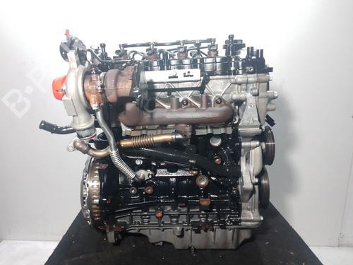 Motore KIA RIO IV (YB, SC, FB) 1.4 CRDi 77 (78 hp) 30562757