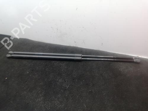 Tailgate lift support VW CADDY III Box Body/MPV (2KA, 2KH, 2CA, 2CH) 1.9 TDI | BP29983207C138