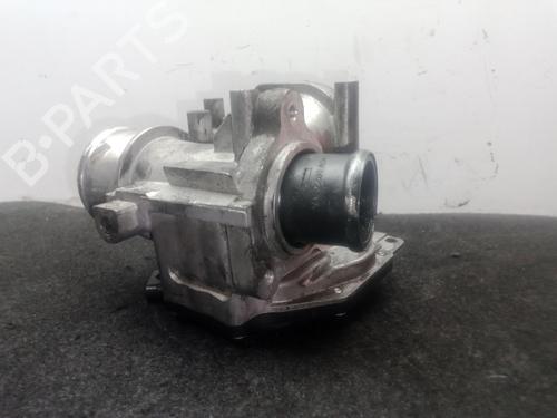 Egr FIAT DOBLO Cargo (263_) 1.3 D Multijet (263WXU1A, 263ZXU1A, 263WYB1A, 263ZYB1A) | BP29447535M69 